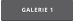 GALERIE 1